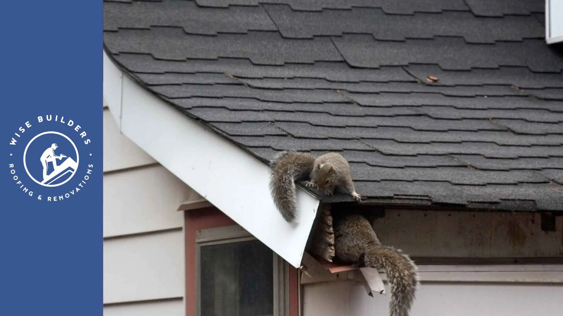 Wise Builders Roofing and Renovations Mobile AL