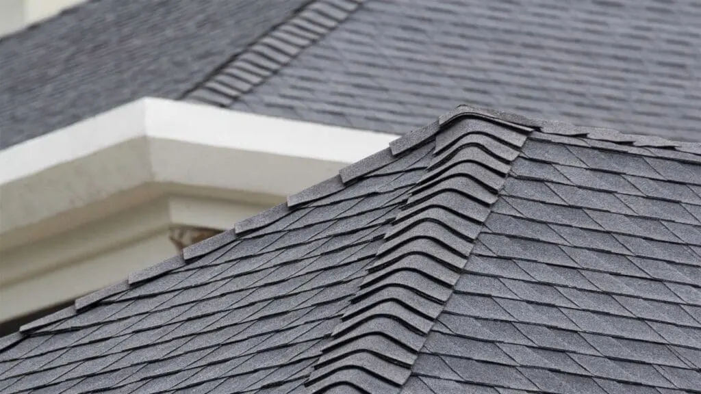 a new shingle roof