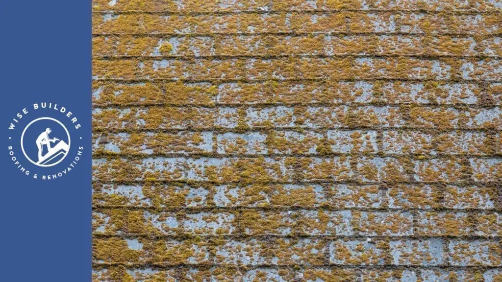 Wise Builders RNR Mobile AL Roof Algae