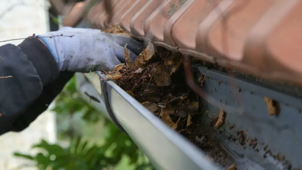 cleaning gutters in mobile al