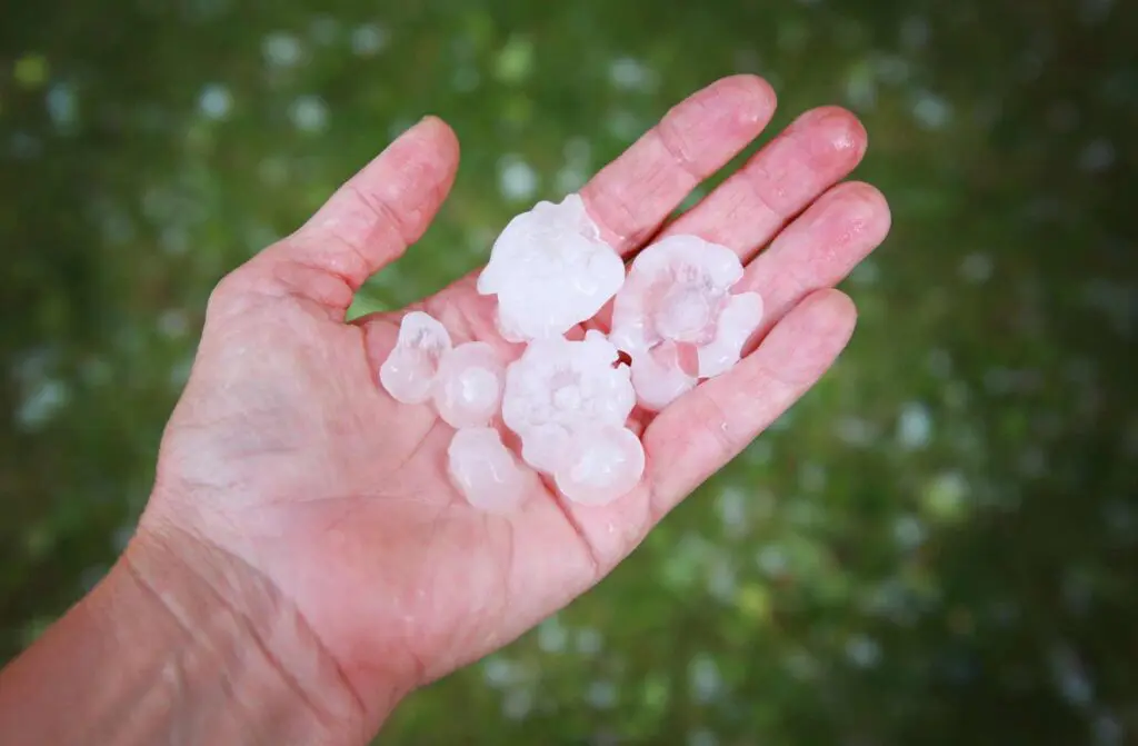 hail from a hailstorm that can damage asphalt shingles