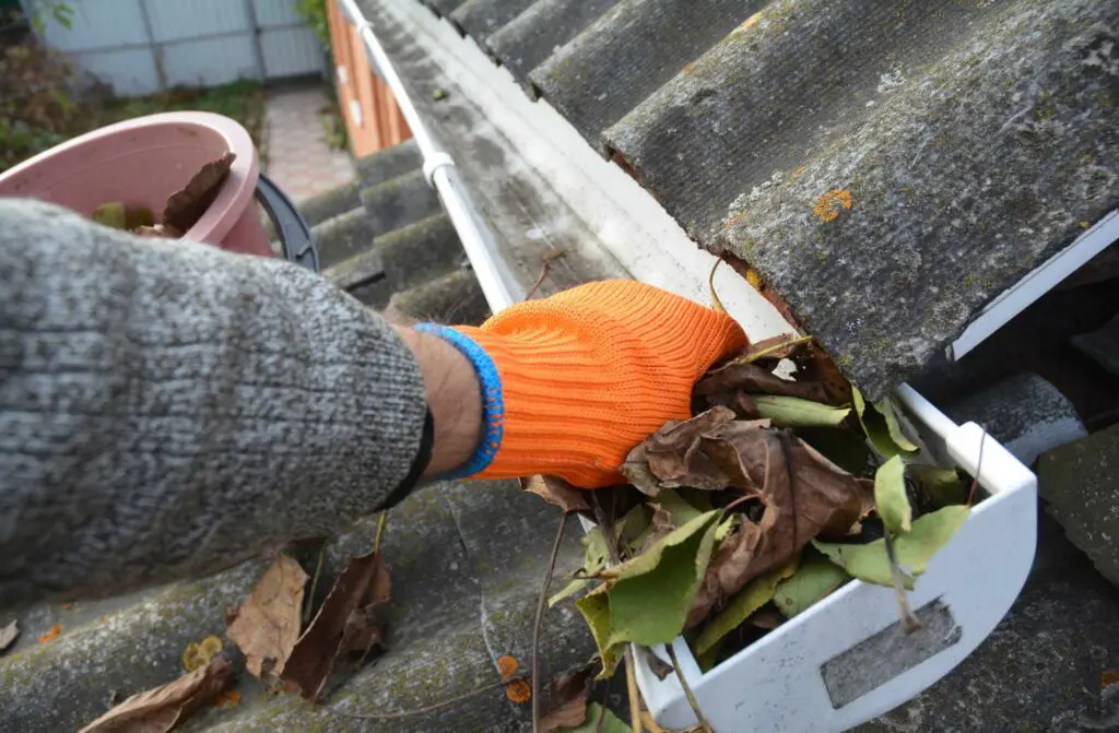 removing gutter debris can help prevent damage to the base of your home