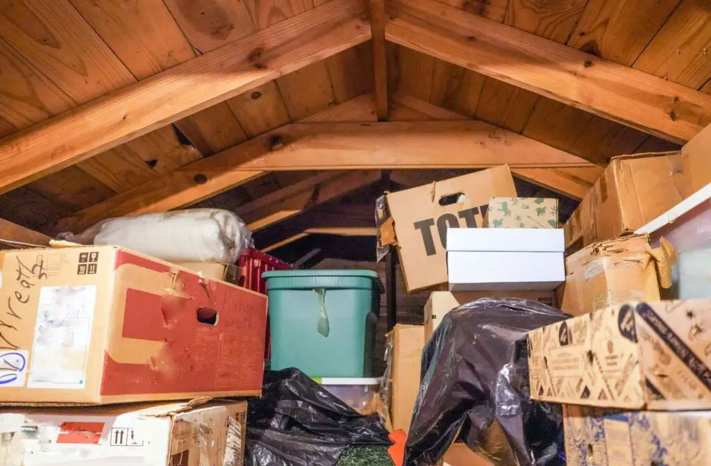 attic inspection to insure no trap moisture