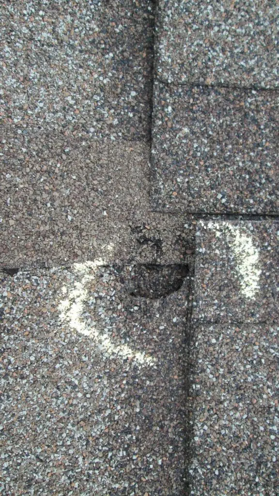 a damaged shingle on a roof
