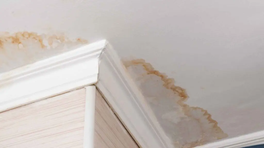 water stains on ceiling