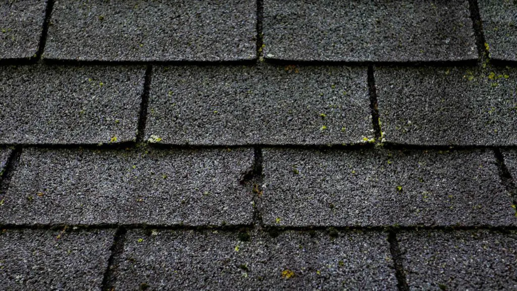granule loss on shingles