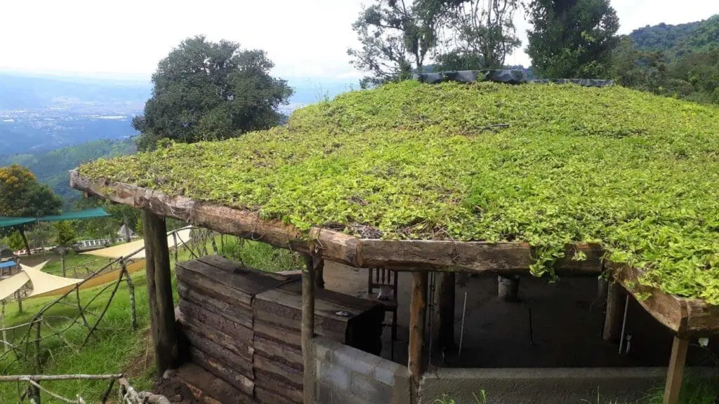 a small square foot roof