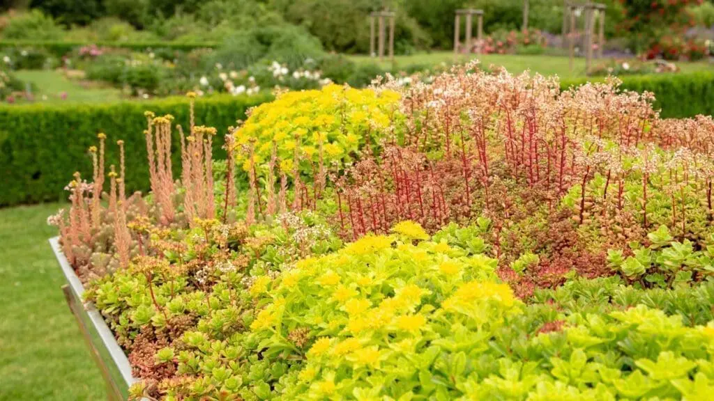 a roof enjoying the benefits of green roofs