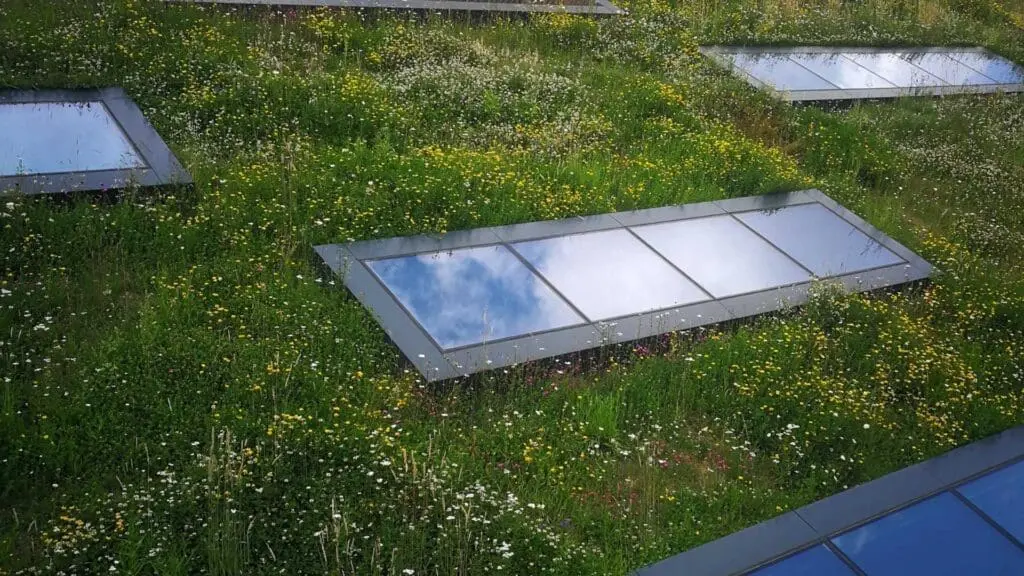 a roof in the united states