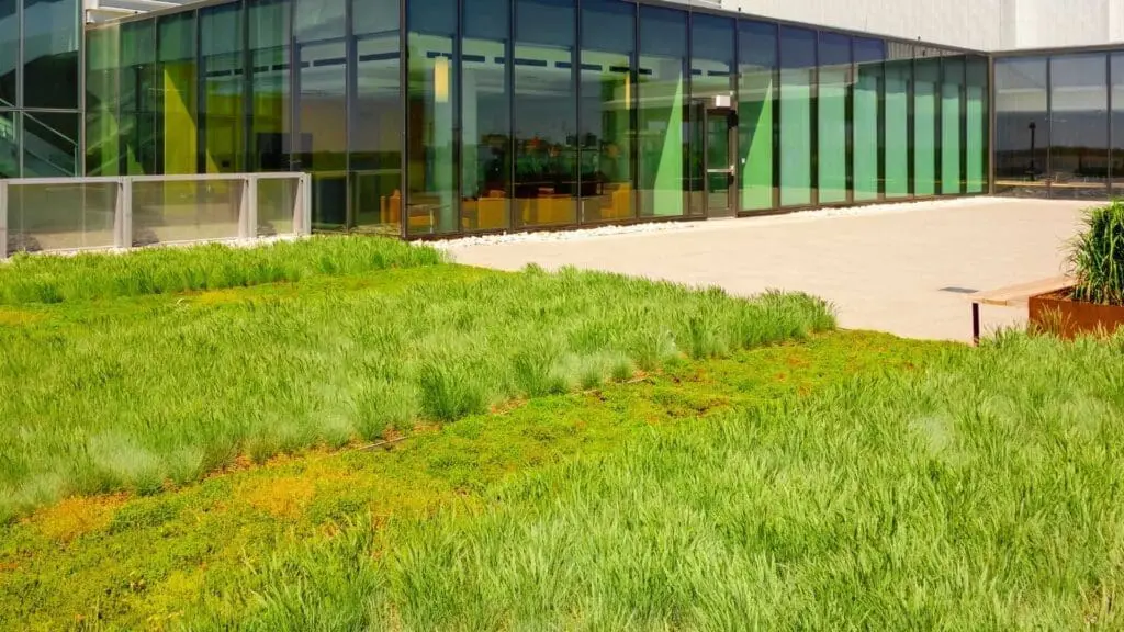 grass helping with greenhouse gas emissions