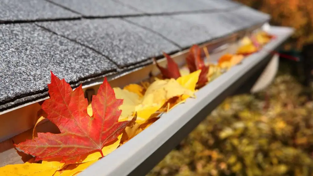 gutters filled with leaves