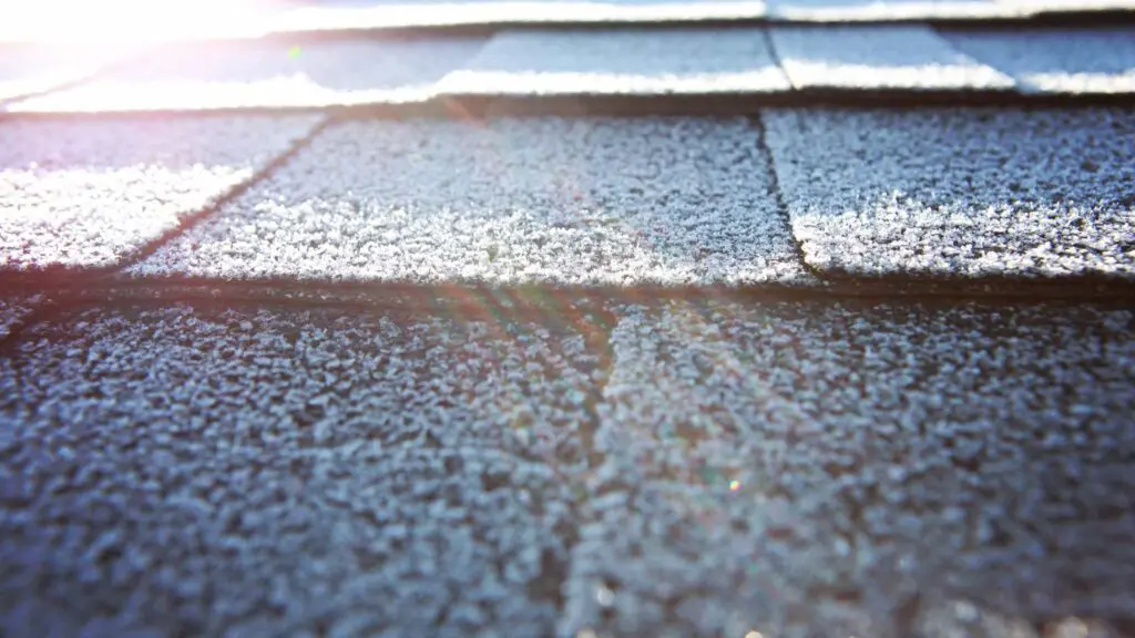 a new roof with curb appeal