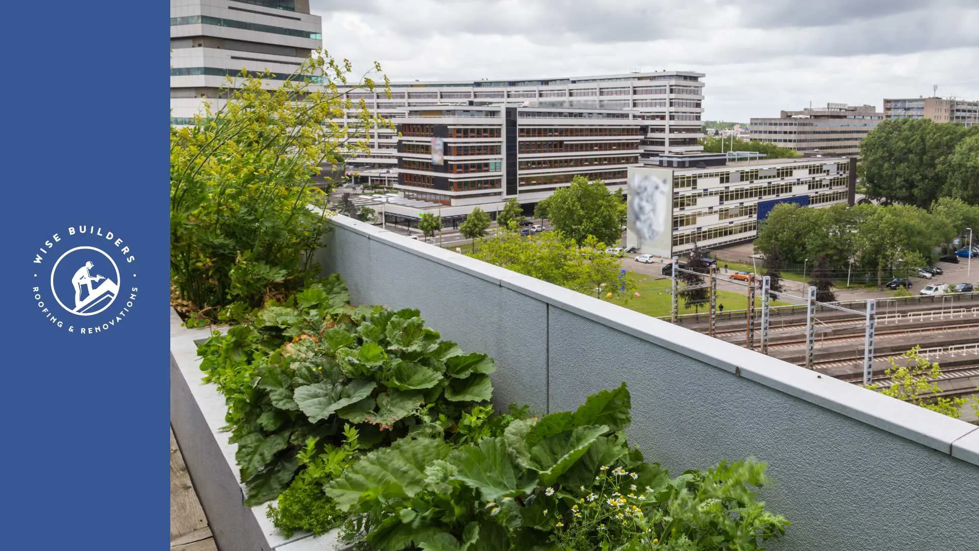 all square feet of a roof covered in green