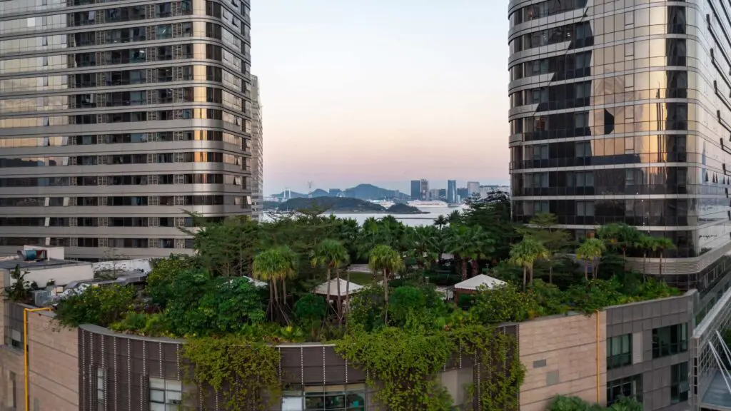 a green roof in california