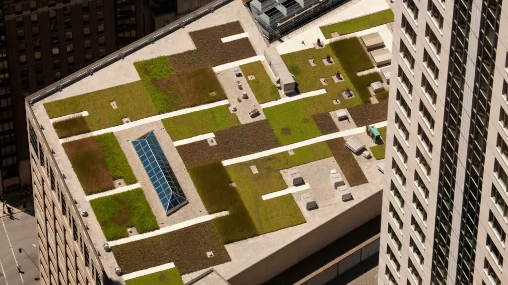a san francisco green roof