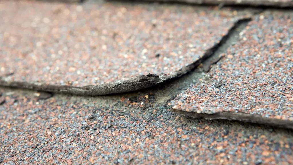 wind damage on a shingle
