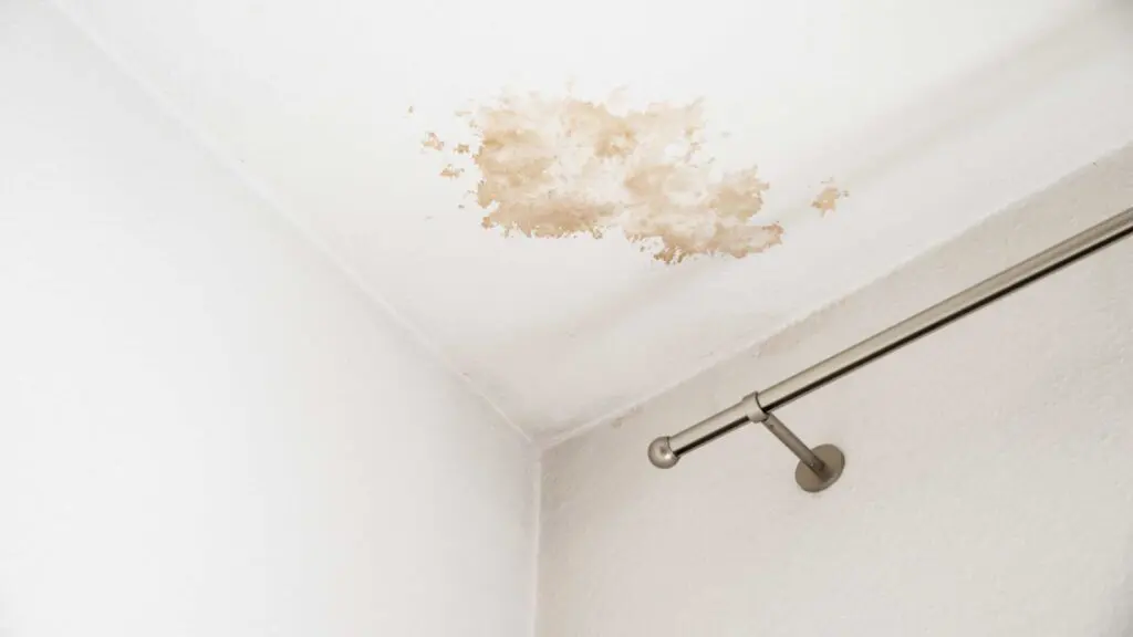 spots on a ceiling from a leak