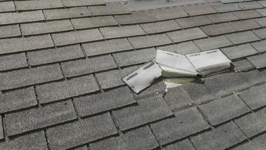 wind damage on roof shingles
