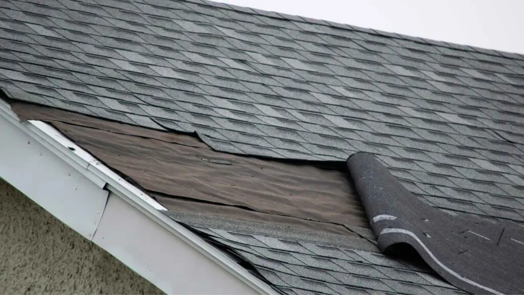 Missing shingles on roof
