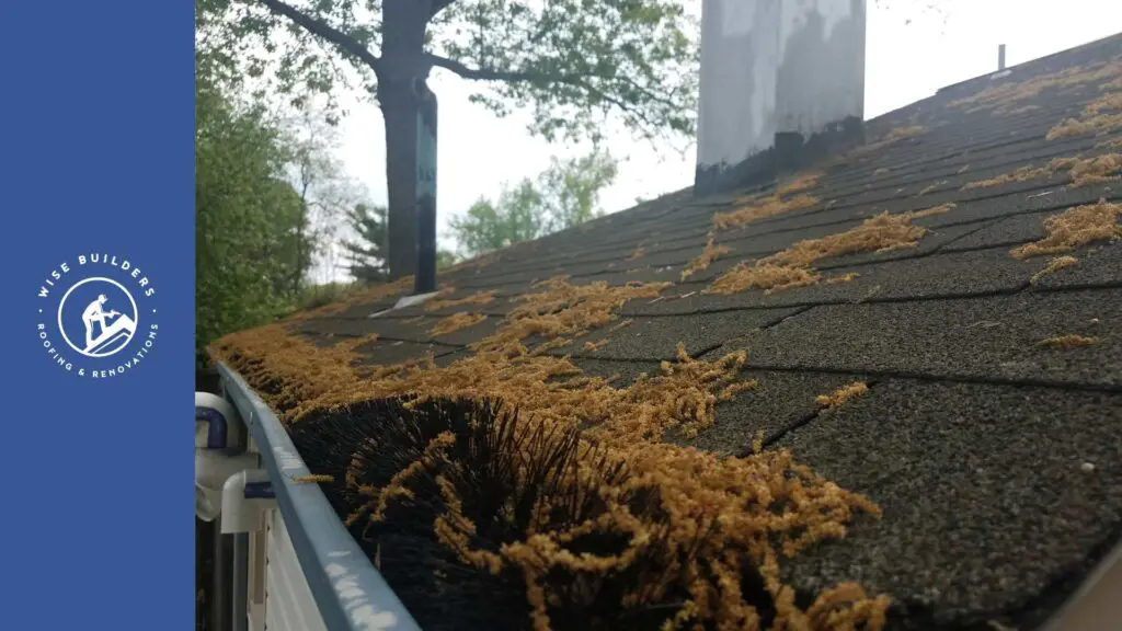 buildup on a roof