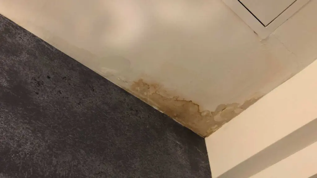 signs of water damage inside a home