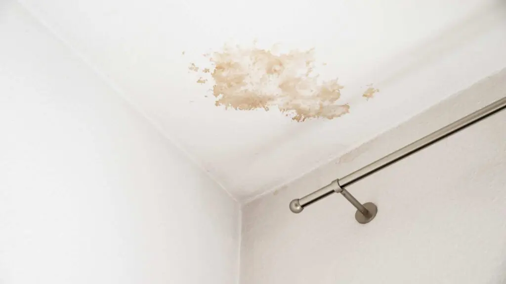 water stains on the ceiling of a home