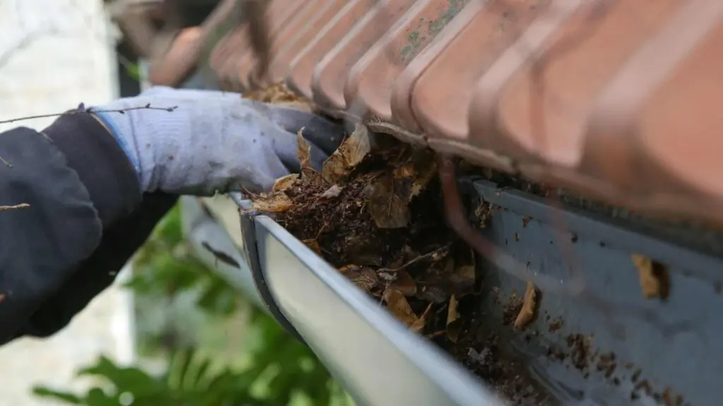removing leaves and shingle grit from a gutter