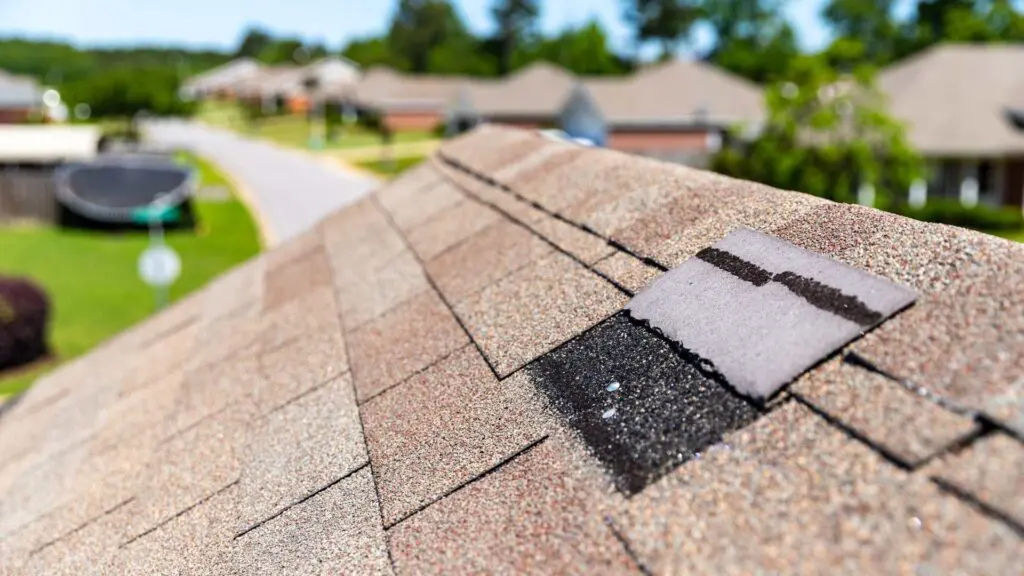 shingles that need a roof replacement