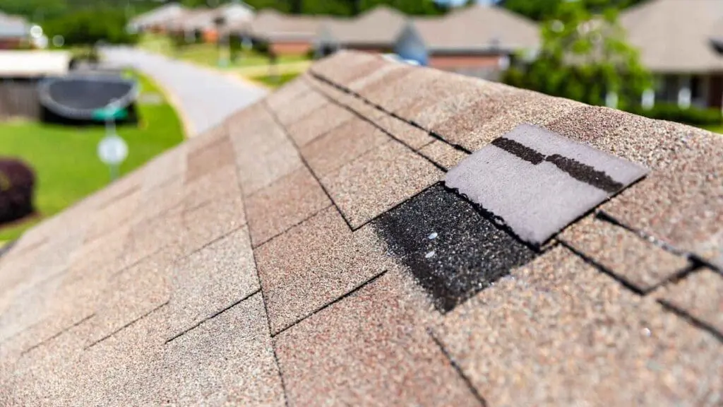 wind damaged shingle on roof