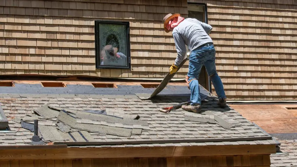 a roofer working on a roof replacement laying down asphalt shingles