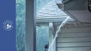 rain on asphalt shingle roof
