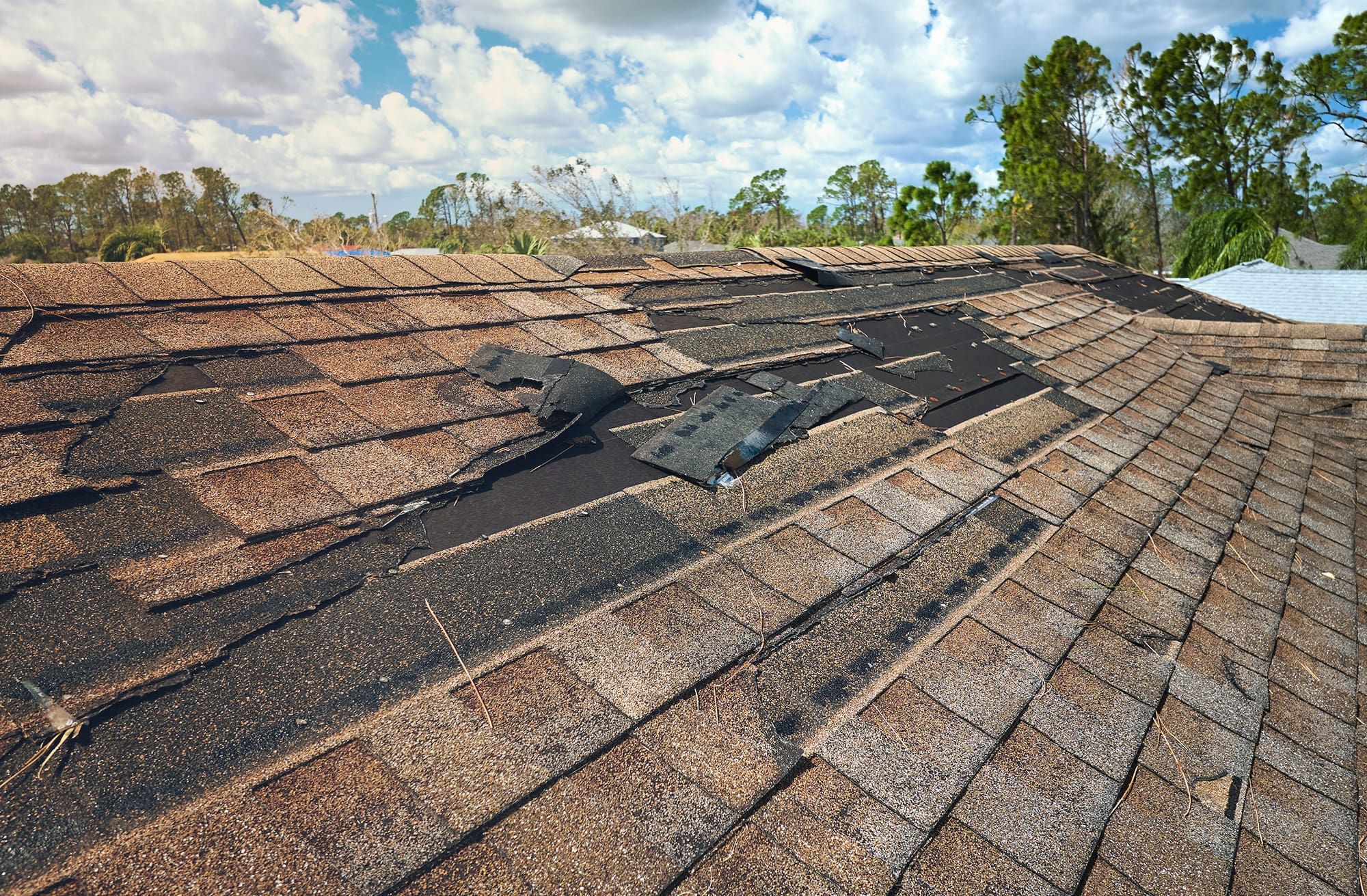 Emergency Roof Repair in Mobile